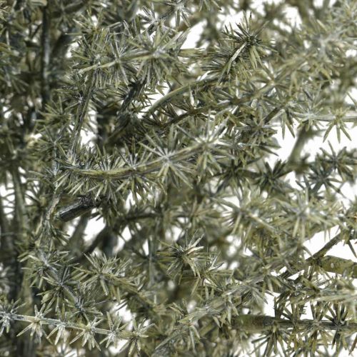 Floristik24 Ramo decorativo de lariço artificial lavado de branco 45 cm 6 unidades
