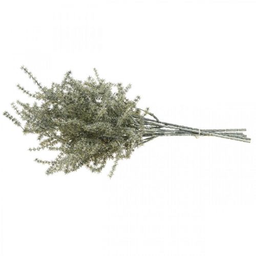 Floristik24 Ramo decorativo de lariço artificial lavado de branco 45 cm 6 unidades