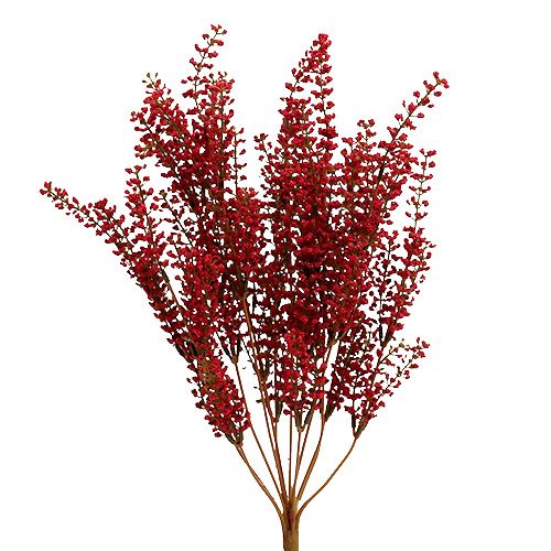 Floristik24 Astilben bush vermelho 52 cm