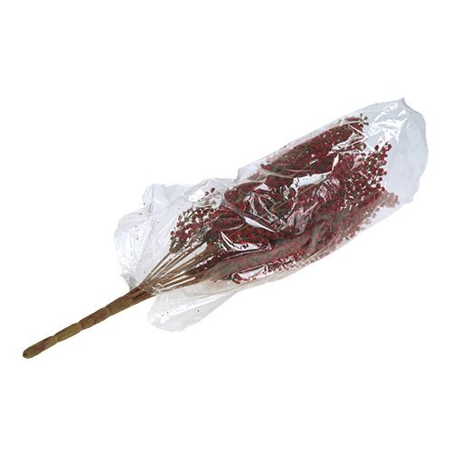 Floristik24 Astilben bush vermelho 52 cm