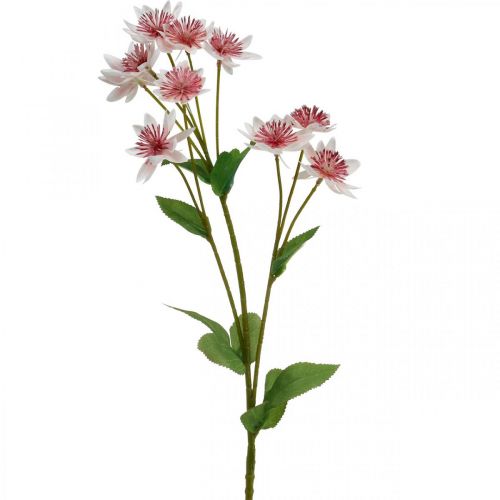 Itens Grande Masterwort Artificial Astrania Silk Flower Branco Rosa L61cm