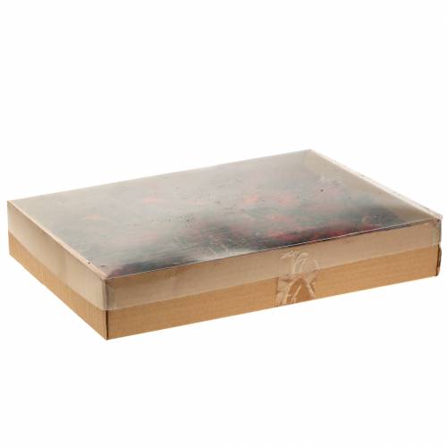 Floristik24 Fatias de frutas decorativas Ata frutas vermelhas 1 kg