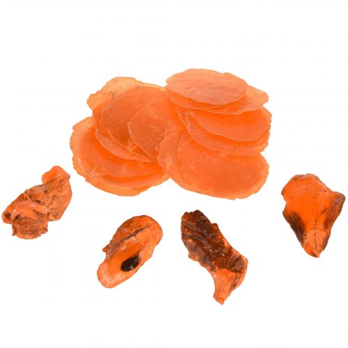 Mexilhões ostra fatias de capiz em laranja líquida 3,5–9,5 cm 2 unidades