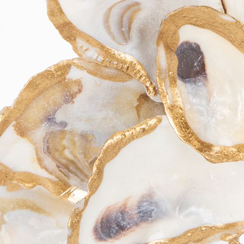 Itens Coroa de conchas de ostra, decoração para casa com tema marítimo, enfeite de parede natural, 12 cm