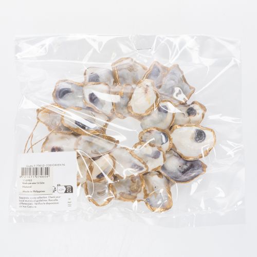 Itens Coroa de conchas de ostra, decoração para casa com tema marítimo, enfeite de parede natural, 12 cm