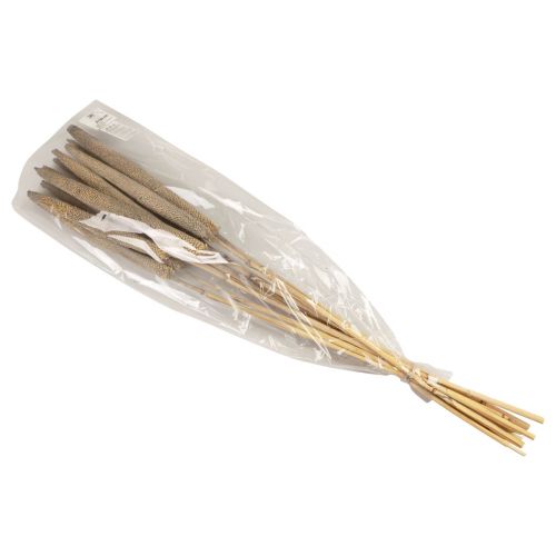 Itens Milheto, babala de junco, milheto verde 70cm 10 unid.