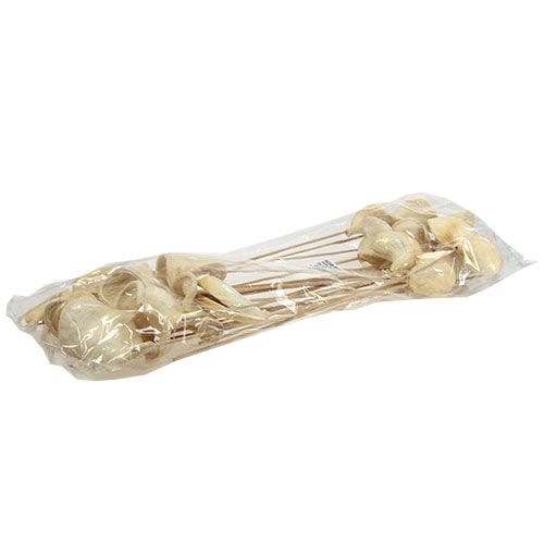 Floristik24 Badam em palito branqueado 6cm - 12cm C55cm 23 unid.