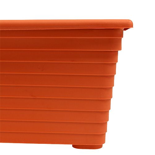 Floristik24 Caixa de varanda &quot;Nowa&quot; terracota 51 cm x 21 cm, 1 peça