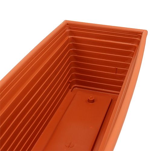 Floristik24 Caixa de varanda &quot;Nowa&quot; terracota 51 cm x 21 cm, 1 peça