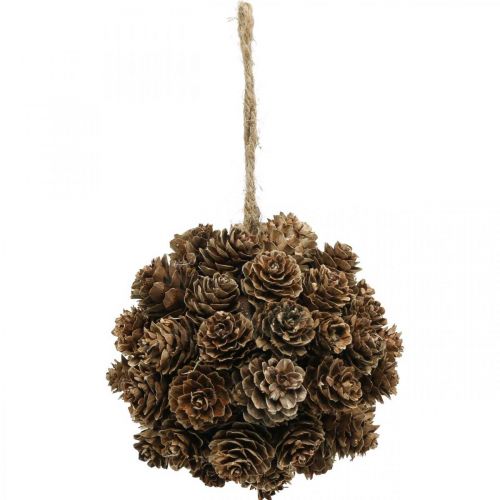 Floristik24 Cone de larício para pendurar cones decorativos para pendurar natureza Ø10cm