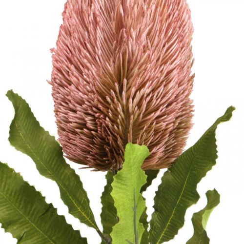 Itens Flor artificial Banksia rosa decoração de outono floricultura comemorativa 64cm