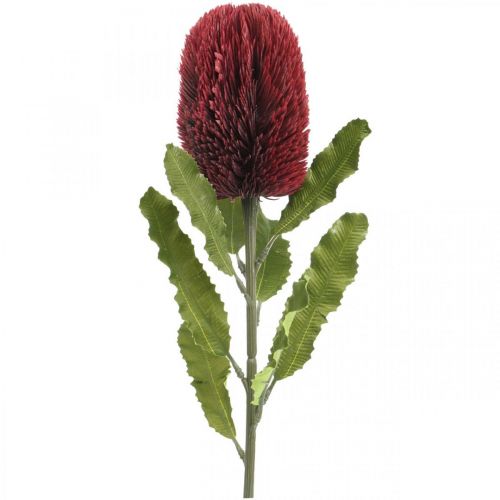 Flor Artificial Banksia Vermelho Borgonha Exóticos Artificiais 64cm