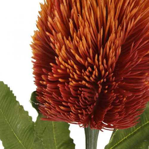 Flor Artificial Banksia Laranja Decoração de Outono Flores Funerárias 64cm