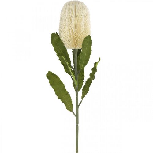 Flor Artificial Banksia Branco Creme Artificial Exóticos 64cm