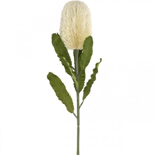 Itens Flor Artificial Banksia Branco Creme Artificial Exóticos 64cm