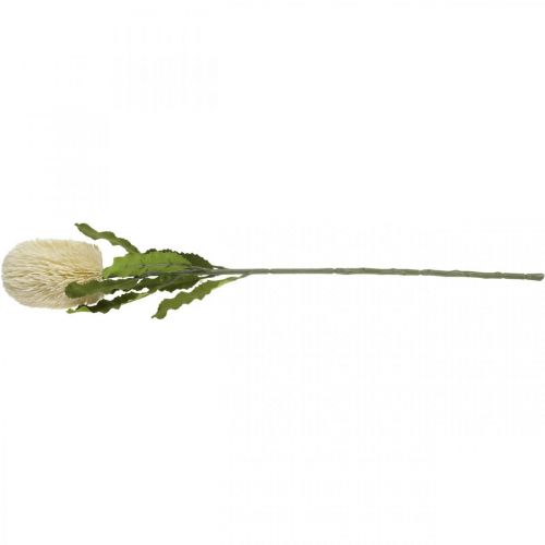 Itens Flor Artificial Banksia Branco Creme Artificial Exóticos 64cm