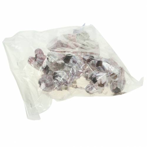 Floristik24 Cracas decorativas naturais 12-16cm 3 un