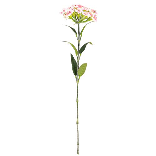 Itens Cravo barbudo Cravo artificial Pêssego Rosa 52cm