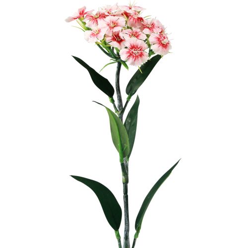 Itens Cravo barbudo Cravo artificial Pêssego Rosa 52cm