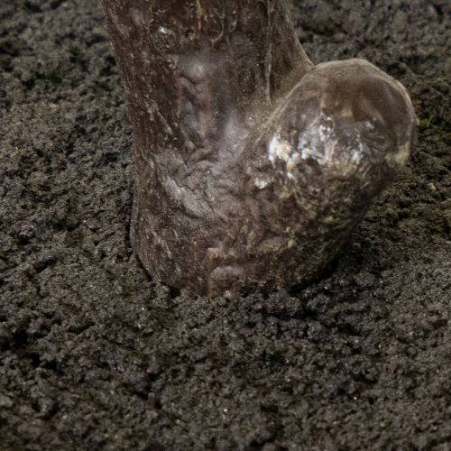 Árvore artificial com folhas delicadas, 120 cm | Floristik24.pt