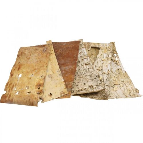 Floristik24 Tiras decorativas de casca de árvore casca de bétula natural 30×12cm 6 un