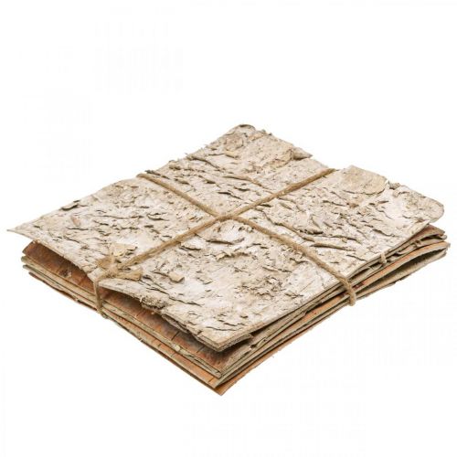 Floristik24 Casca de árvore decorativa casca de bétula quadrada natural 20×20cm 6 un