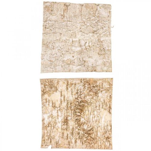 Floristik24 Casca de árvore decorativa casca de bétula quadrada natural 20×20cm 6 un