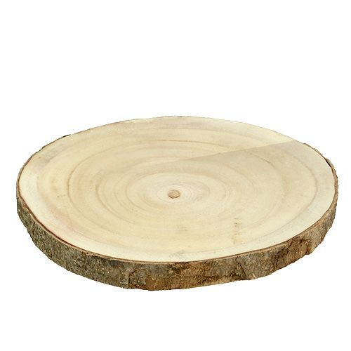 Fatia de árvore natural Ø20cm - 30cm