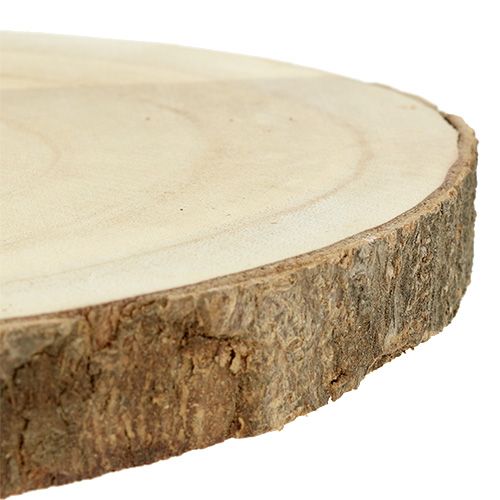 Floristik24 Fatia de árvore natural Ø20cm - 30cm