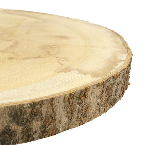 Floristik24 Disco de árvore Ø30cm - 35cm natural