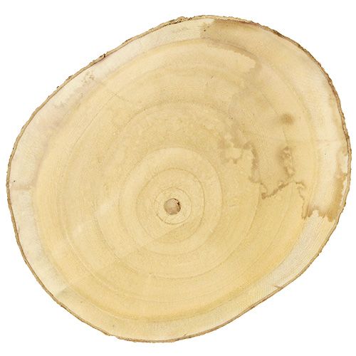 Floristik24 Disco de árvore Ø30cm - 35cm natural