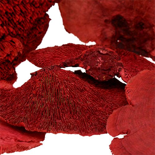 Itens Esponja de árvore vermelha 1kg