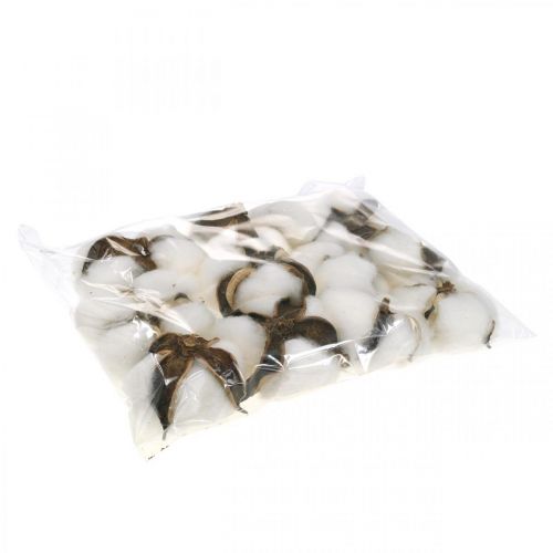 Itens Decoração de flor de algodão algodão seco decoração natural Ø6cm 12 un