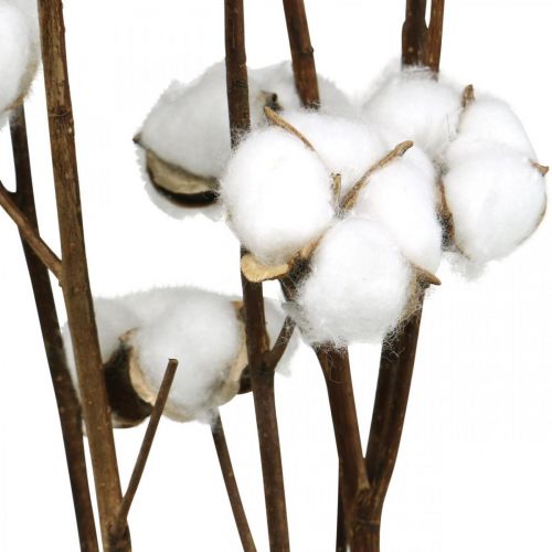 Itens Ramo de algodão, ramo decorativo de algodão, algodão verdadeiro C80cm 5 unidades