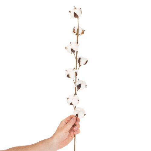 Itens Ramo artificial de algodão com 8 flores naturais, 78 cm