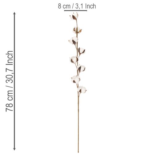 Ramo artificial de algodão com 8 flores naturais, 78 cm | Floristik24.pt