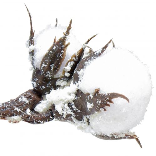 Itens Ramo de algodão artificial flores de algodão com neve 79cm