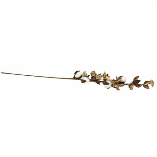 Floristik24 Ramo de algodão 75cm