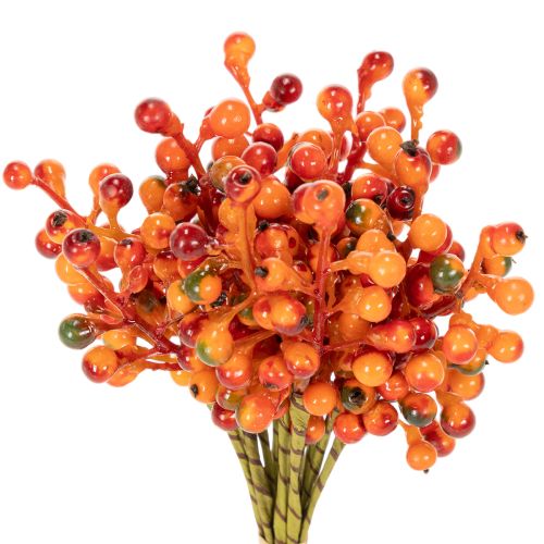 Cacho de bagas laranja, com 20 cm de comprimento. comprar | Floristik24.pt