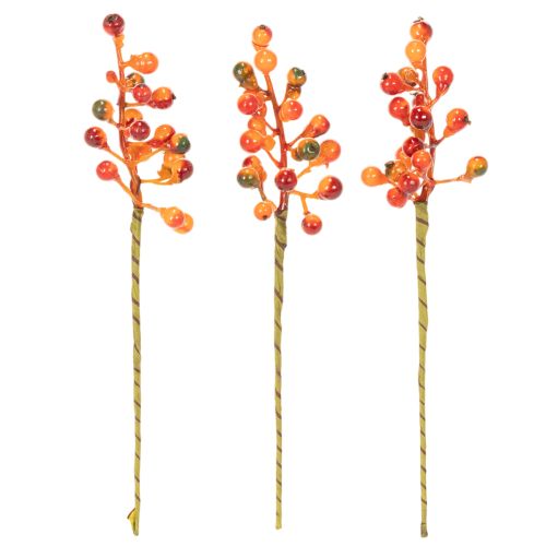 Cacho de bagas laranja, com 20 cm de comprimento. | Floristik24.pt
