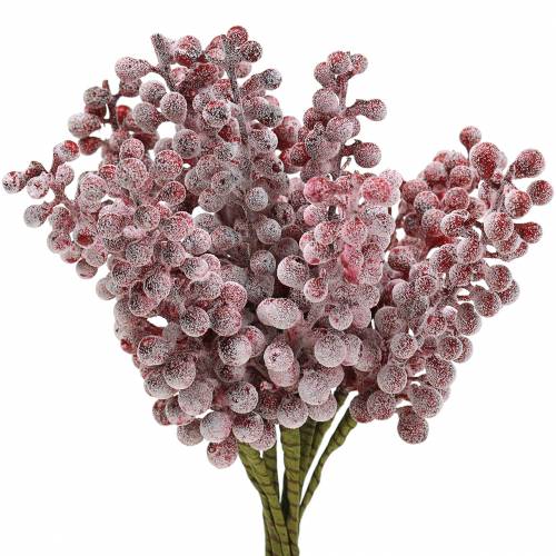 Floristik24 Berry pick vermelho, gelado 21 cm 12 unidades