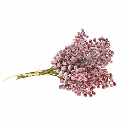 Floristik24 Berry pick vermelho, gelado 21 cm 12 unidades