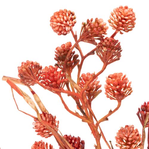 Ramo artificial de frutos silvestres, decoração de outono realista, 68 cm | Floristik24.pt
