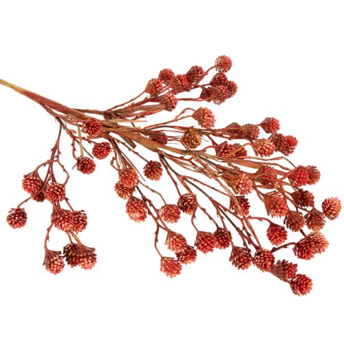 Ramo artificial de frutos silvestres, decoração de outono realista, 68 cm | Floristik24.pt