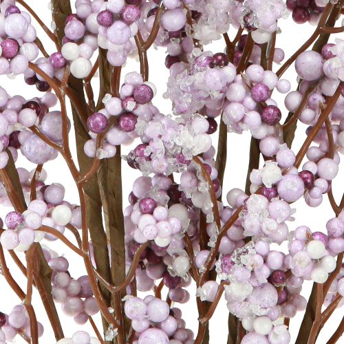 Floristik24 Ramo de baga Ramo de Natal roxo branco geada C60cm 2 unid.