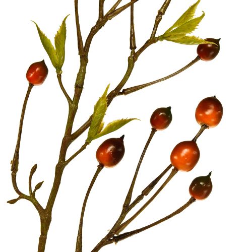 Floristik24 Ramo de baga vermelho artificial ramo artificial deco ramo 82cm