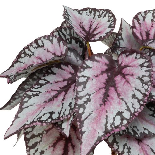 Floristik24 Arbusto de begônia artificial Bordeaux 37cm
