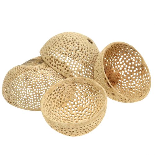 Floristik24 Copo Sino de Frutos Secos Decoração Natural de Luto 8,5-11cm 10 un