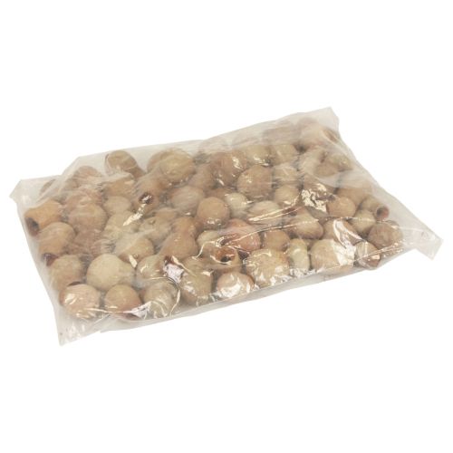 Itens Cápsula de fruta Bellgum fruta decoração natural marrom 500g