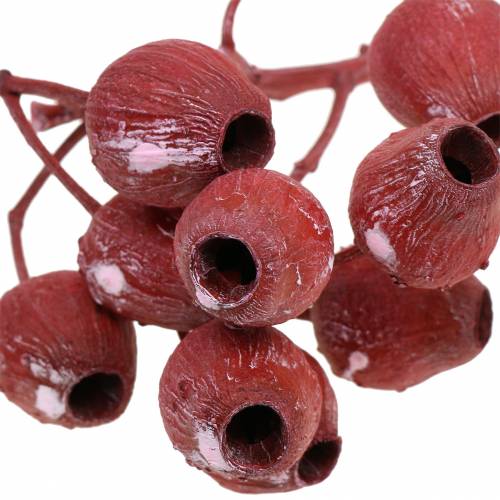 Itens Ramo de Bellgum 5cm - 7cm vermelho fosco 20 unid.